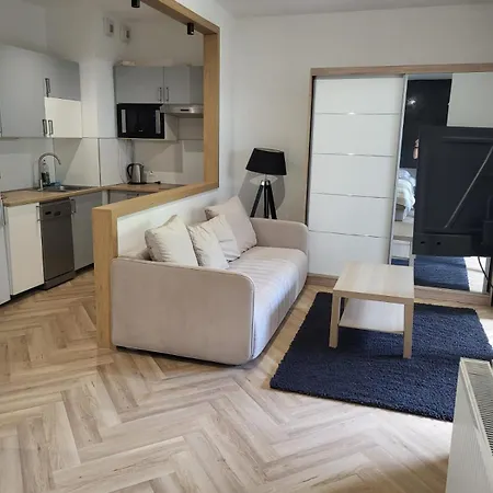 Apartamenty Gasiorowskich 4 Poznan Exterior photo